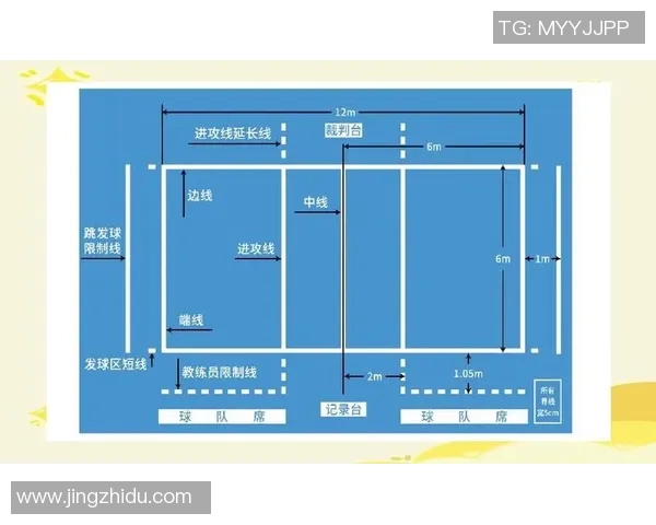 排球新手攻略：比赛经验入门指南_1